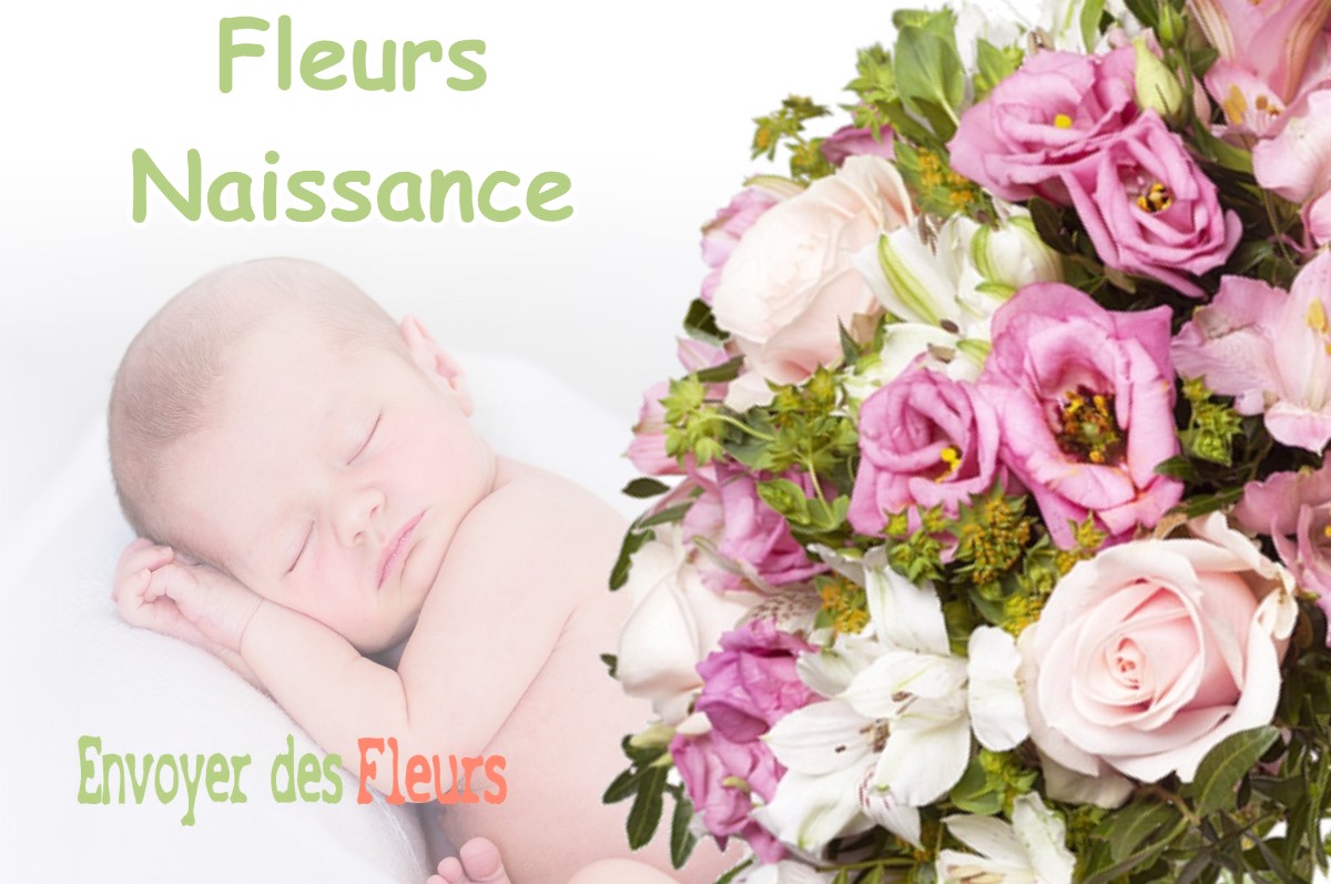 lIVRAISON FLEURS NAISSANCE à LA-GAUDE